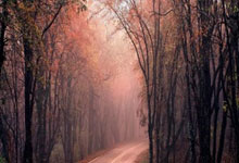 南宫28官网:马圭尔补时绝杀 送曼联进足总杯16强赛.