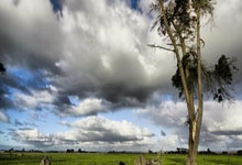 掐对手教练后颈 梅西违反手部接触政策遭罚款.